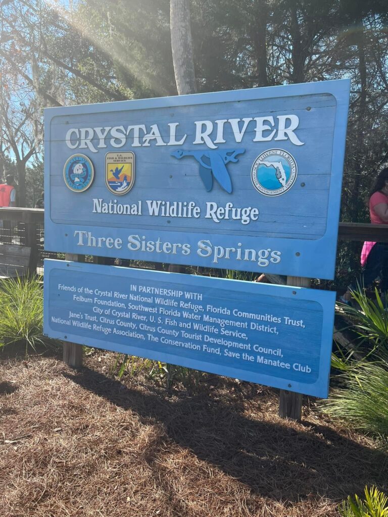 Three Sisters Spring, Florida: A Natural Paradise