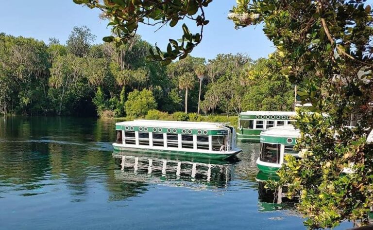 Discover Florida’s Natural Treasures: Blue Spring, Myakka River, Silver Springs, and Honeymoon Island State Parks.